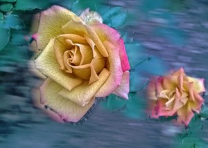 Poem Image