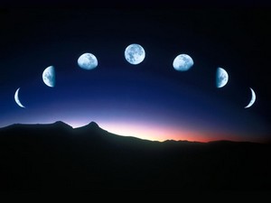 Poem Artwork
