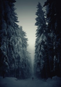 Poem Artwork
