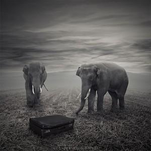 Poem Artwork