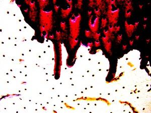 Poem Image