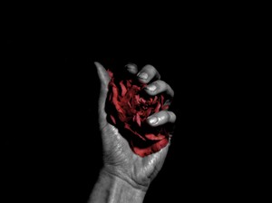 Poem Image