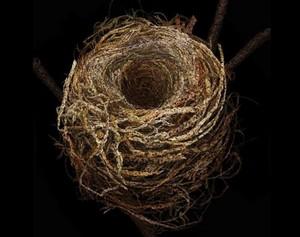Poem Artwork