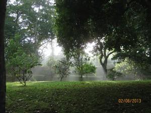 Poem Image