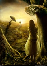 Poem Image