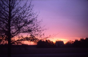 Poem Image