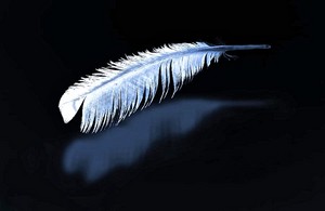Poem Artwork