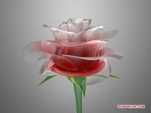 Poem Image