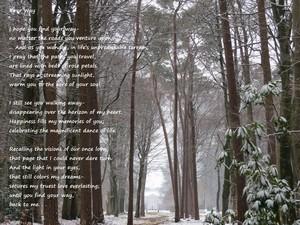 Poem Image