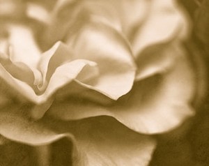Poem Artwork