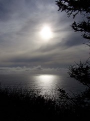 Poem Image