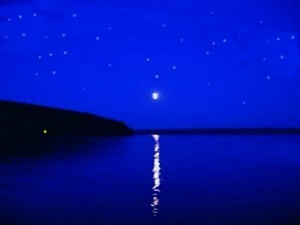 Poem Artwork