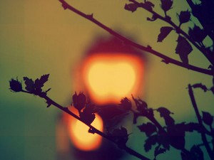 Poem Image