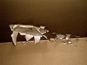 Poem Artwork