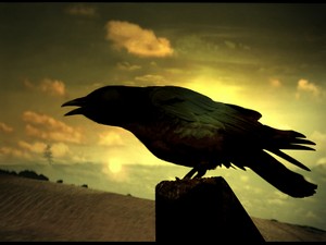 Poem Artwork