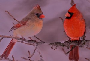 Poem Artwork