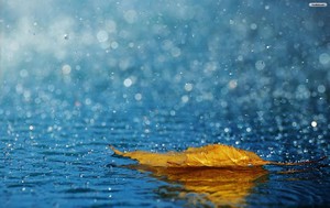 Poem Artwork