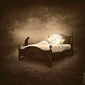 Poem Artwork