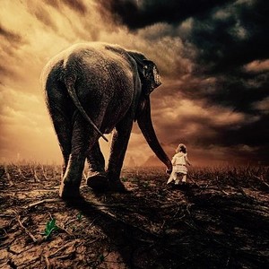 Poem Artwork