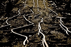 Poem Artwork