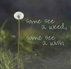 Poem Image