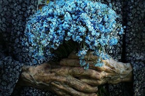 Poem Image