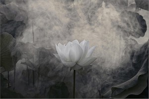 Poem Artwork