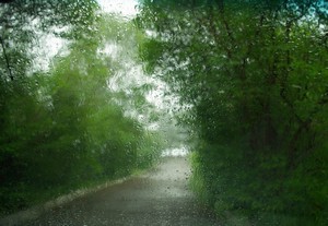 Poem Image