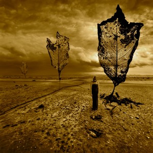 Poem Artwork