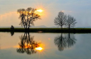 Poem Image