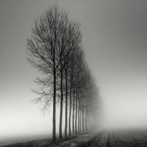 Poem Artwork