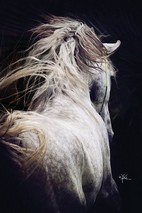 Poem Artwork