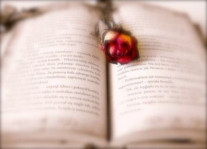 Poem Artwork