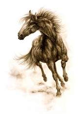 Poem Artwork