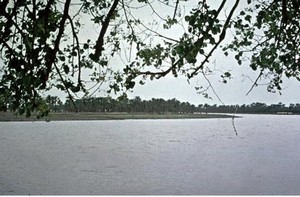 Poem Image