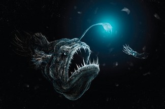 Poem Image