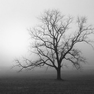 Poem Image