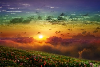 Poem Image