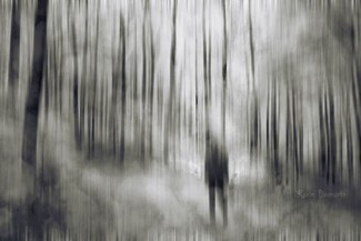 Poem Artwork