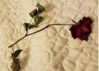 Poem Image