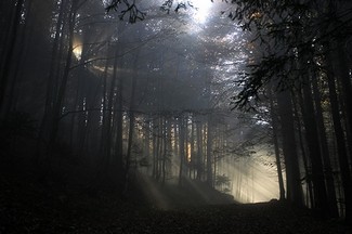 Poem Artwork