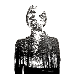 Poem Artwork
