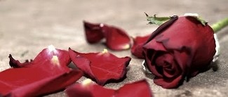Poem Artwork