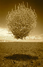 Poem Artwork