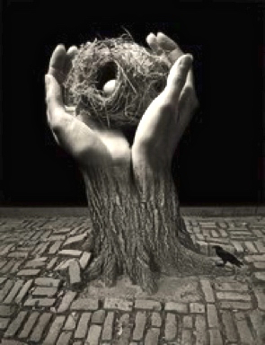 Poem Artwork