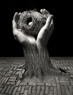 Poem Artwork