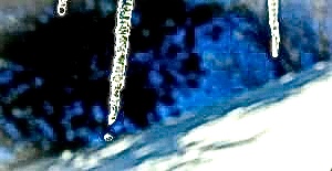 Poem Artwork