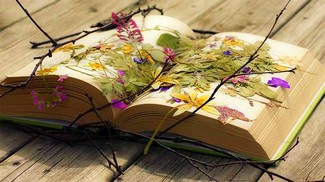 Poem Artwork