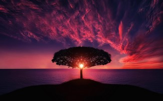 Poem Artwork