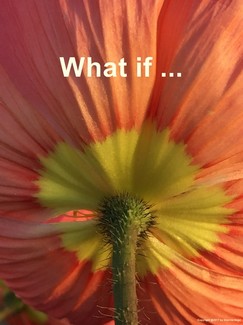 Poem Image